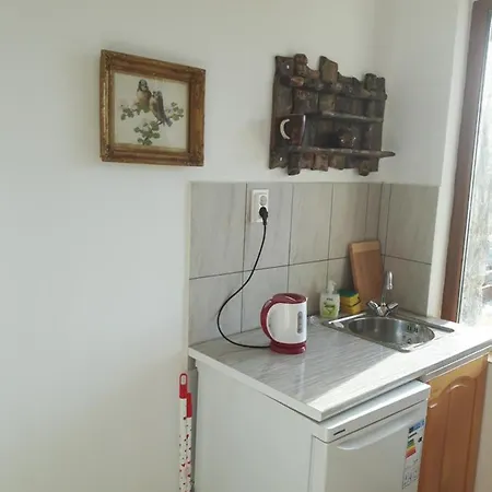 Antique Vendégház 3*