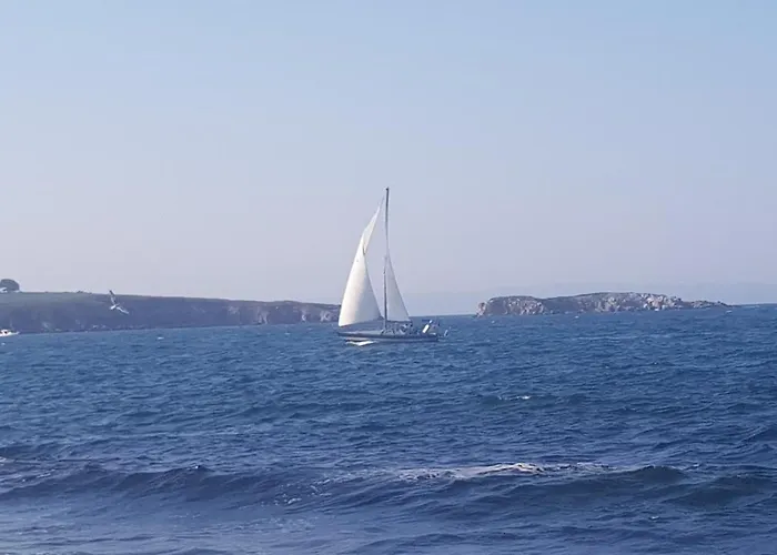 Antique Гостевой дом 3*