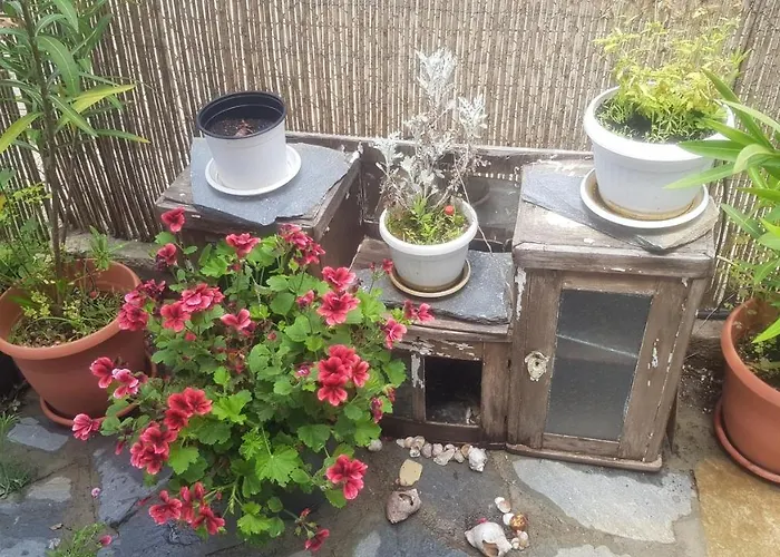 Antique Гостевой дом